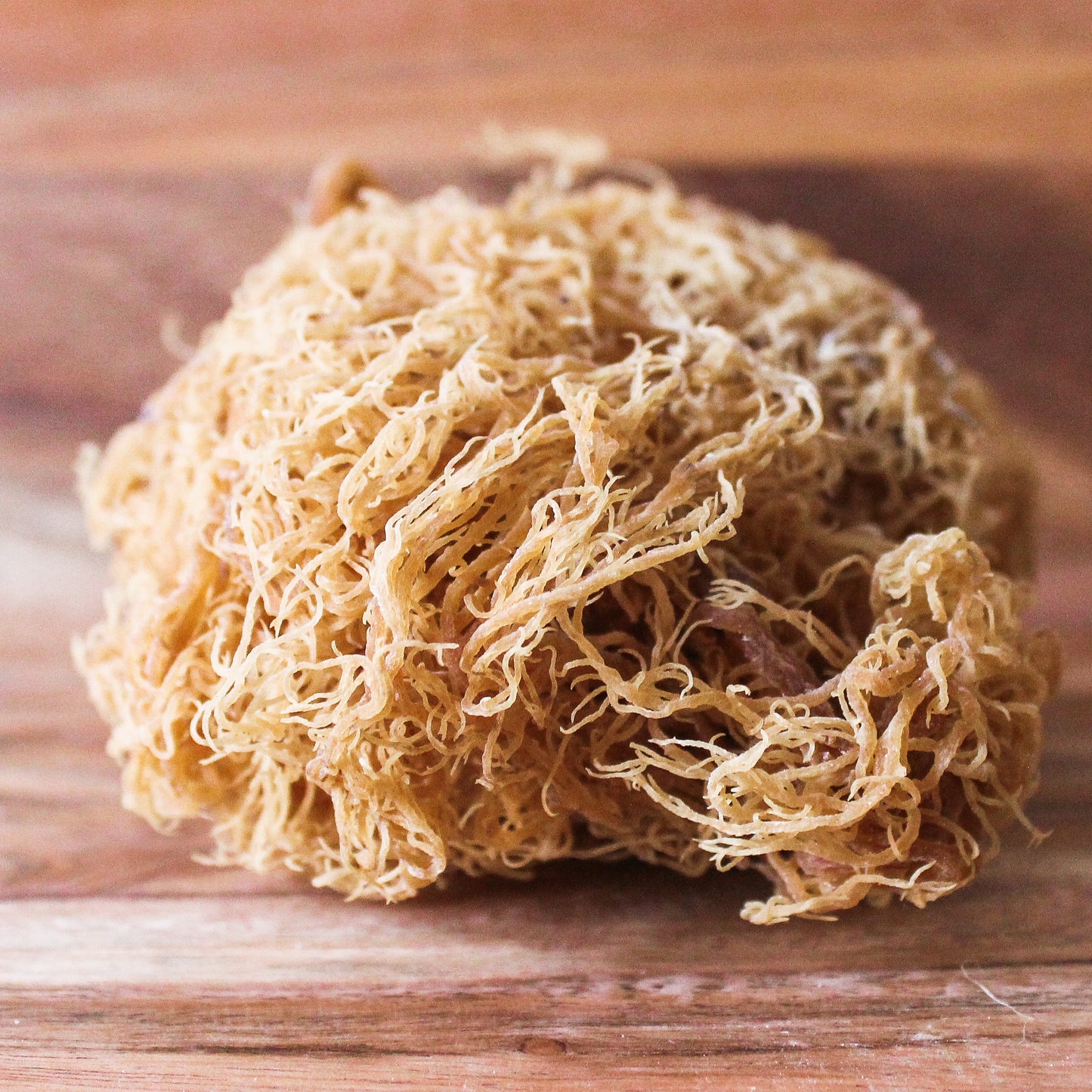 gold sea moss 20lbs for Edward
