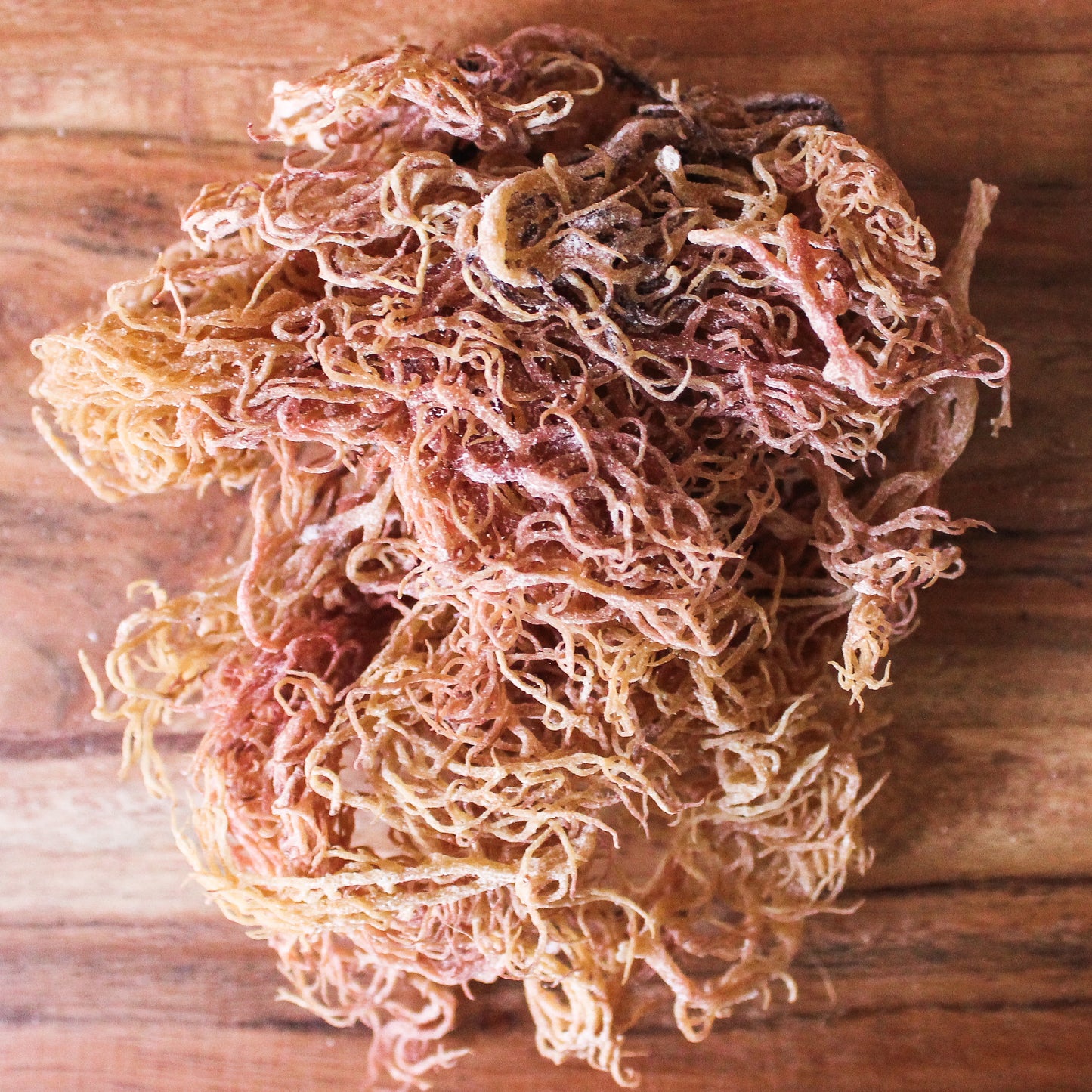 purple tone sea moss