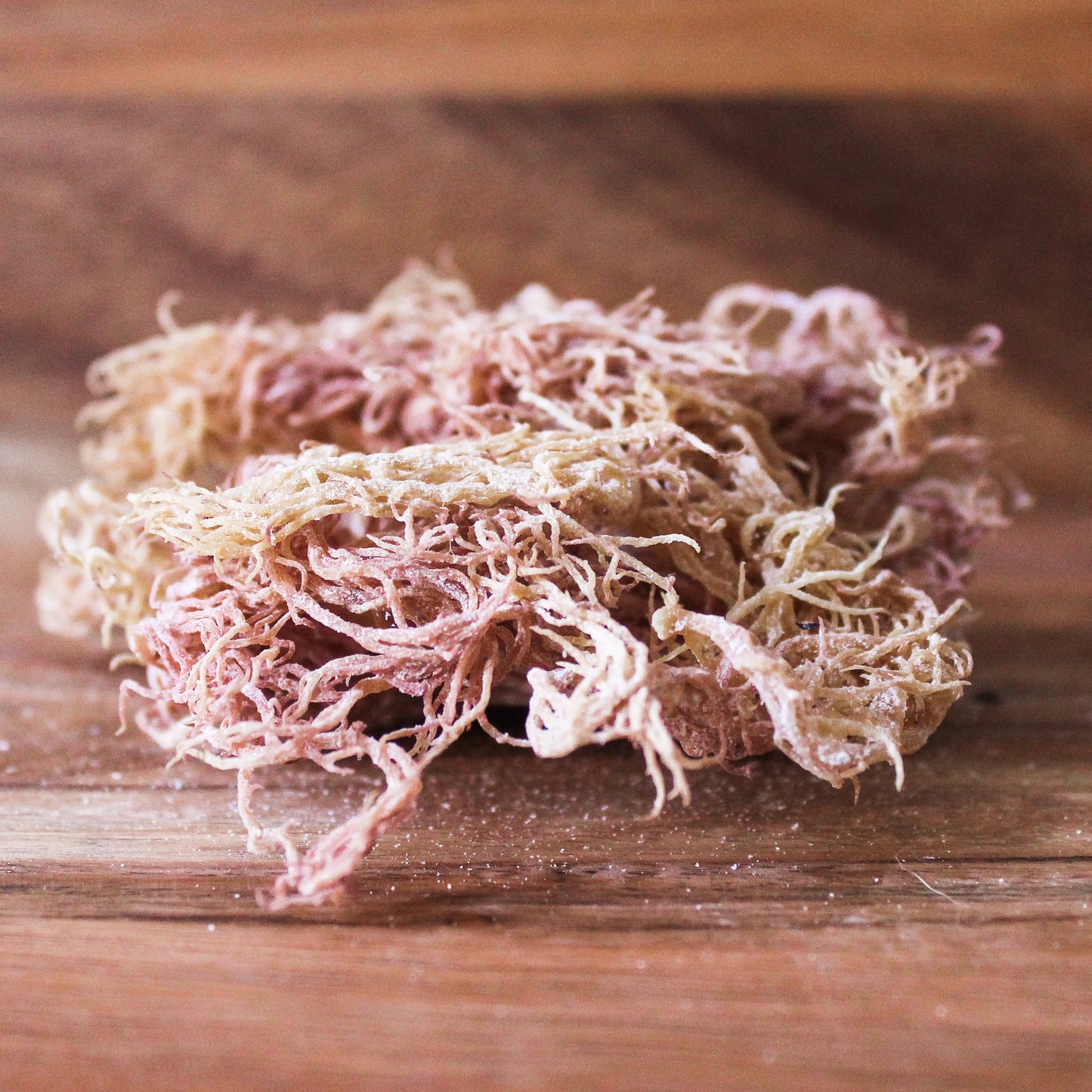 purple tone sea moss