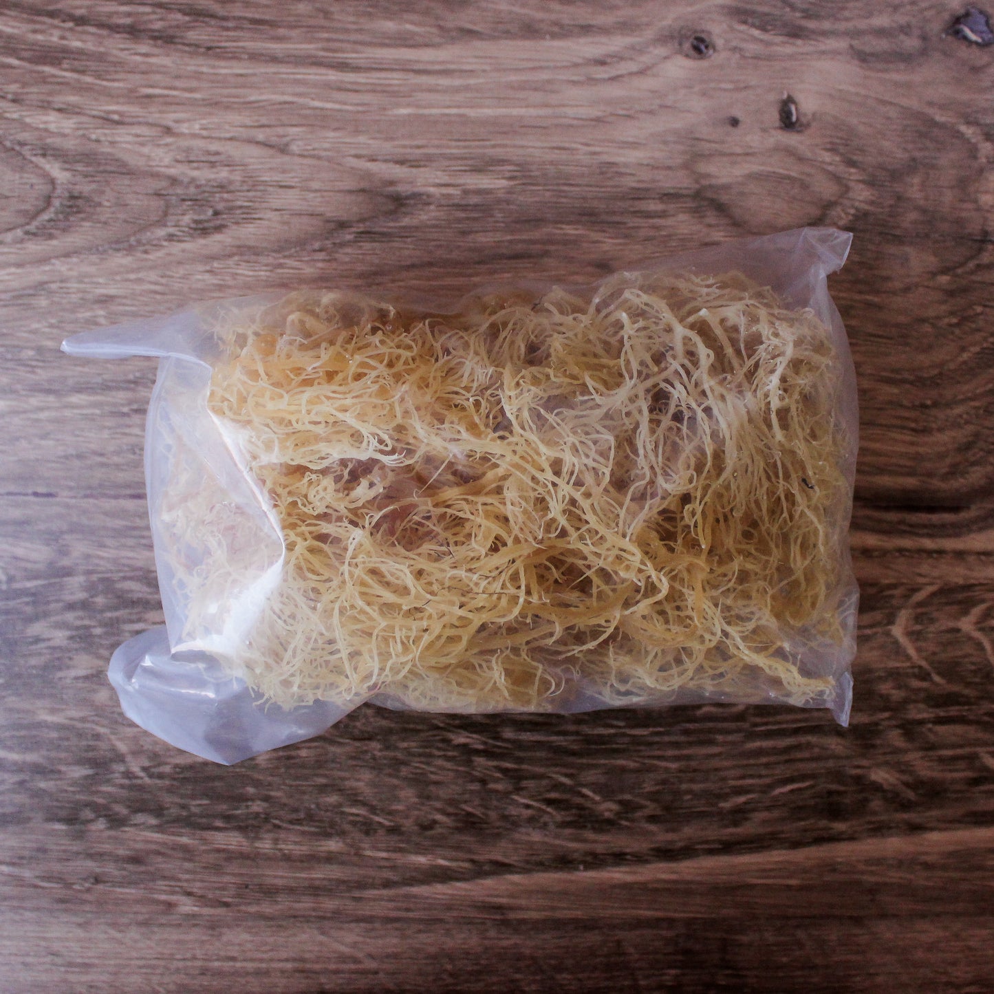 gold sea moss