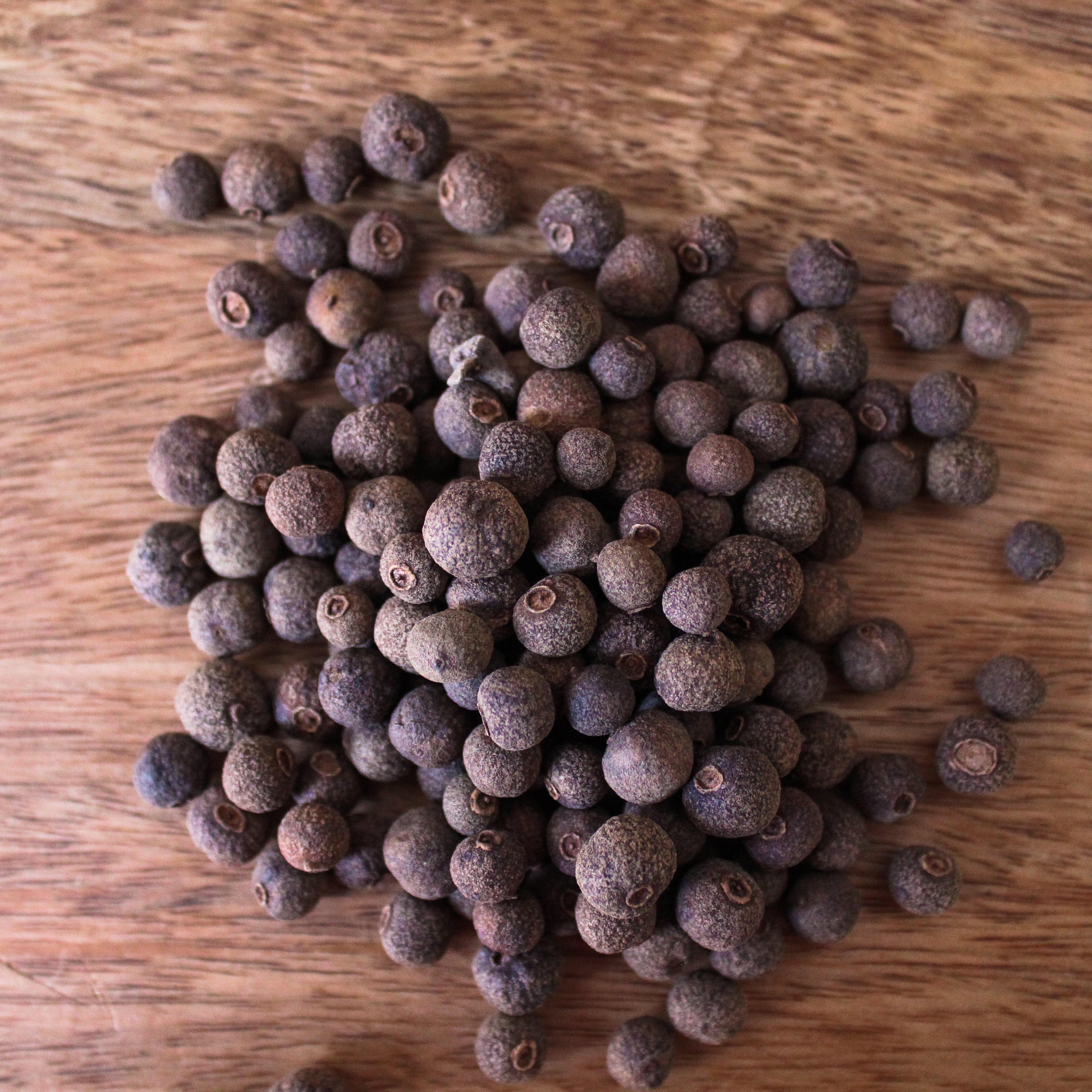 allspice [whole] – blackbaybotanicals